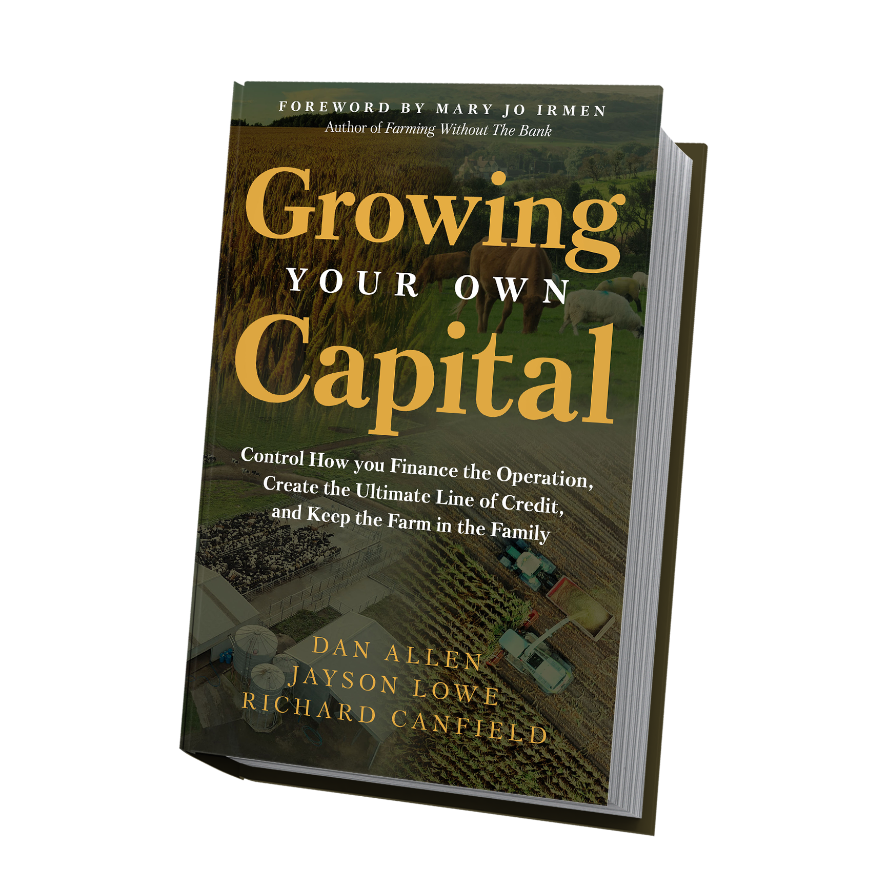 Growing Your Own Capital — book cover by Dan Allen, Jayson Lowe, and Richard Canfield